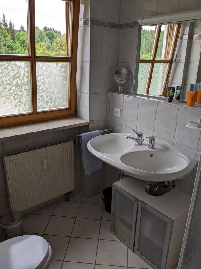 Ferienwohnung Grenzenblick バイエリッシュ・アイゼンシュタイン エクステリア 写真