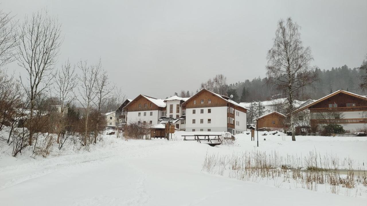 Ferienwohnung Grenzenblick バイエリッシュ・アイゼンシュタイン エクステリア 写真